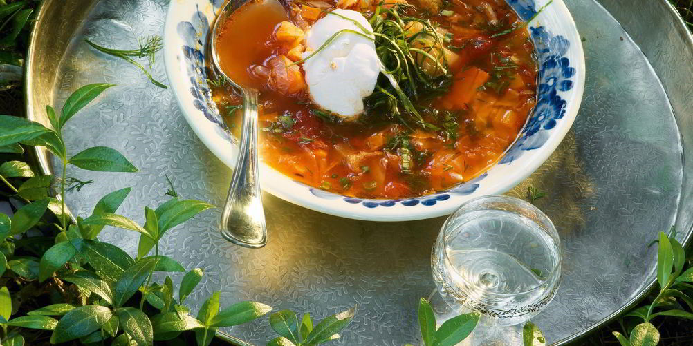 Как приготовить щи из молодой капусты с побегами чеснока