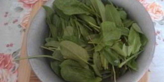 Рецепт щей из щавеля с мясом