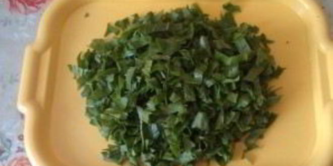 Рецепт щей из щавеля с мясом