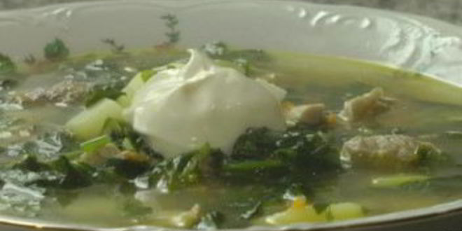 Рецепт щей из щавеля с мясом