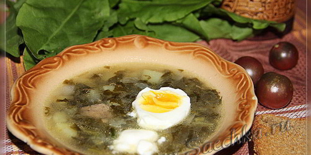 Как приготовить щи из щавеля