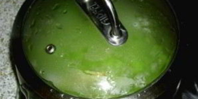 Рецепт щей из шпината