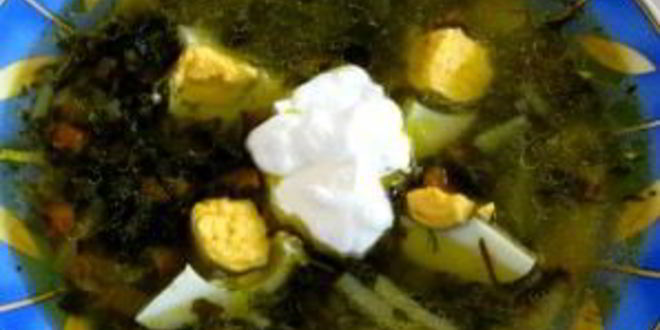 Рецепт щей из шпината