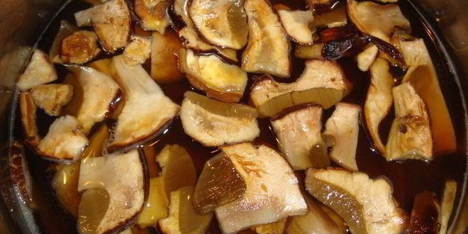 Рецепт щей кислых грибных