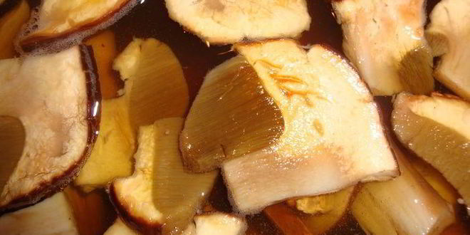 Рецепт щей кислых грибных