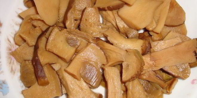 Рецепт щей кислых грибных