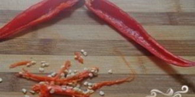 Рецепт щей консервированных