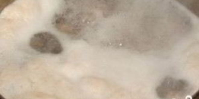 Рецепт щей с фрикадельками