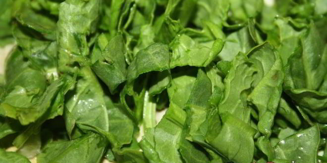 Рецепт щей с квашеной капустой и молодым щавлем