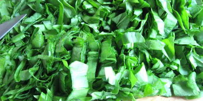 Рецепт щей щавелевых холодных