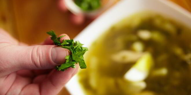 Рецепт щей щавелевых