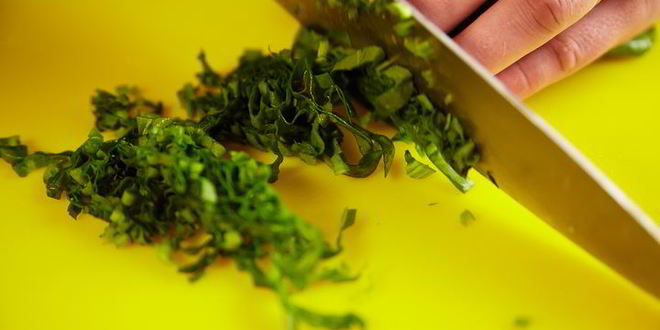 Рецепт щей щавелевых