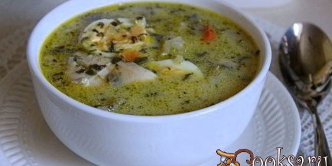 Рецепт щей со шпинатом и шампиньонами