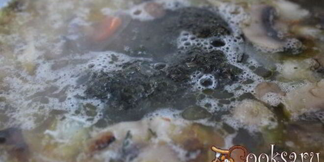 Рецепт щей со шпинатом и шампиньонами