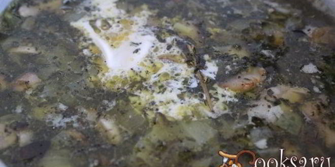 Рецепт щей со шпинатом и шампиньонами