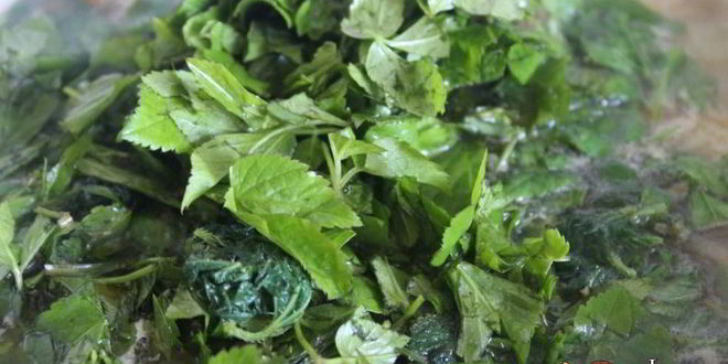 Рецепт зеленых весенних щей с фрикадельками