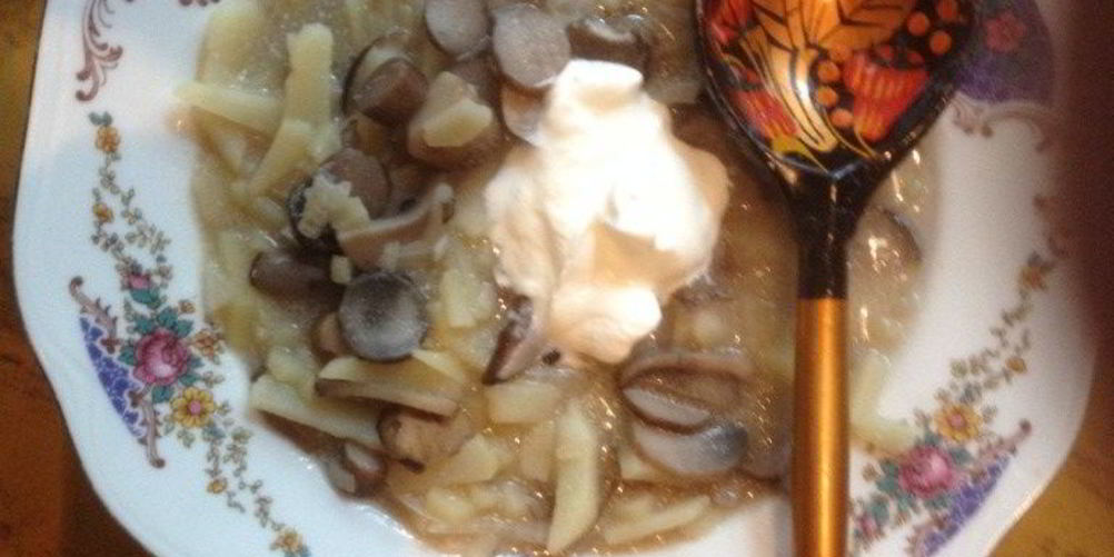 Как приготовить солянку грибную