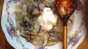 Рецепт Солянки грибной