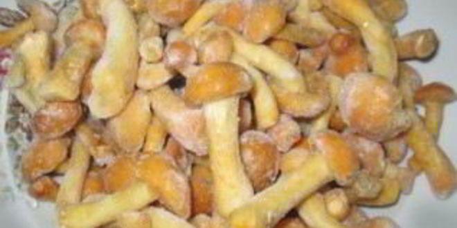 Рецепт солянки с грибами и курицей