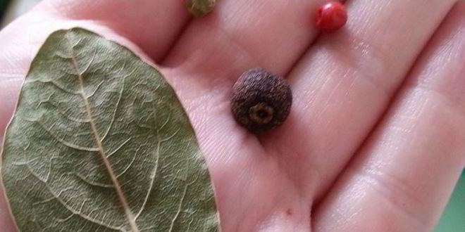 Рецепт супа дарнасского