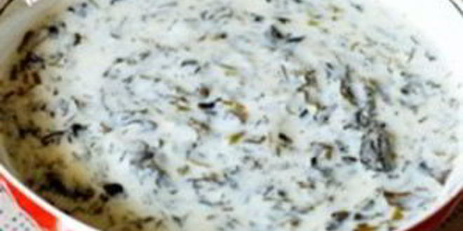 Рецепт супа из йогурта с зеленью