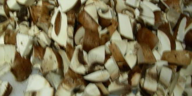 Рецепт грибного супа-пюре с запеченным чесноком