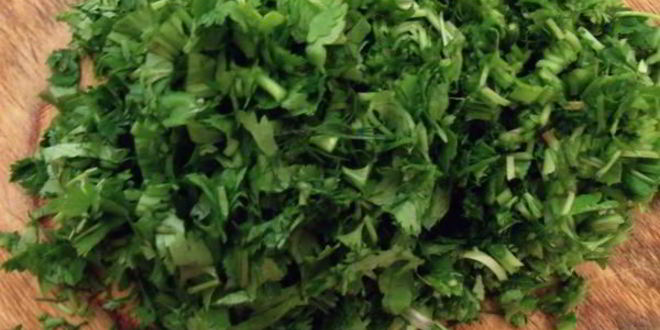 Рецепт супа-пюре с рубленым мясом