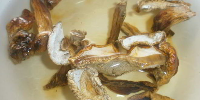 Рецепт супа с белыми грибами