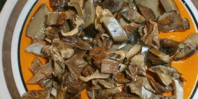 Рецепт супа с белыми грибами