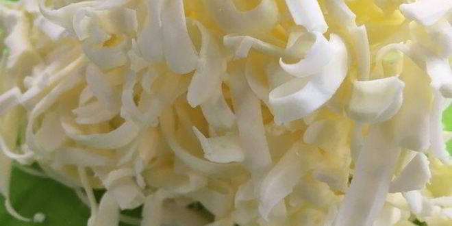 Рецепт супа с мидиями и белорыбицей