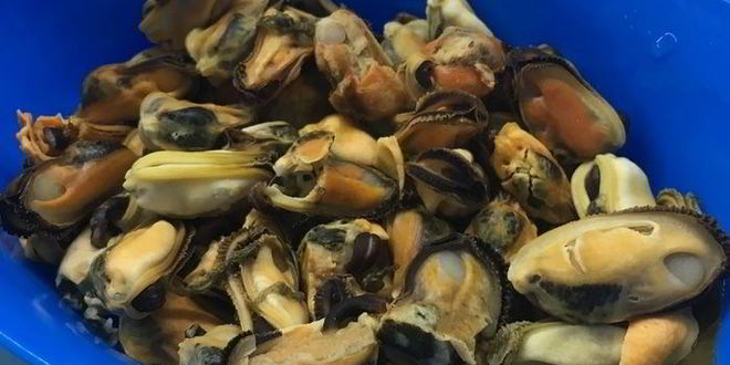 Рецепт супа с мидиями и белорыбицей