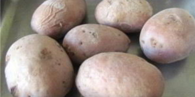 Рецепт свекольника холодного