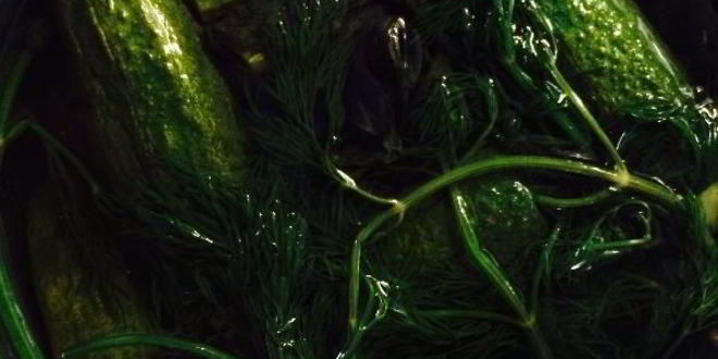 Рецепт свекольника пикантного