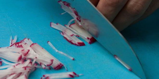 Рецепт свекольника с соленым огурцом