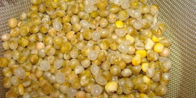 Рецепт сырного супа с говяжьими ребрами