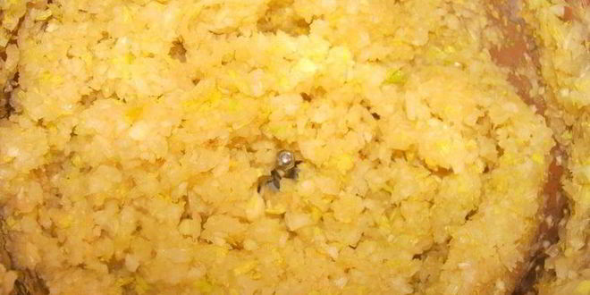 Рецепт сырного супа с говяжьими ребрами