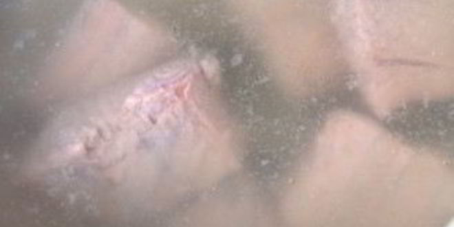 Рецепт молочной ухи