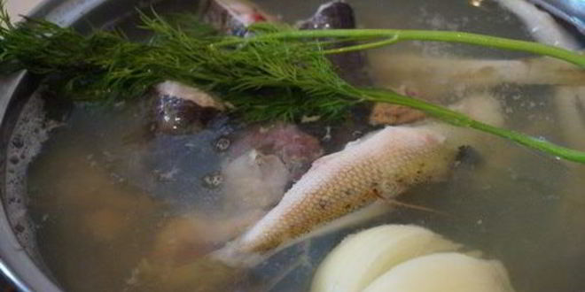 Рецепт сборной ухи из сома и ерша-носаря