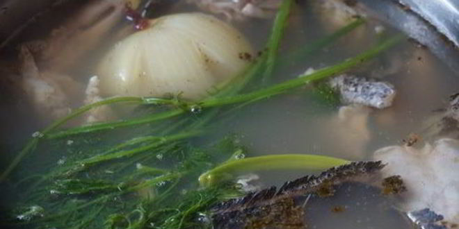 Рецепт сборной ухи из сома и ерша-носаря