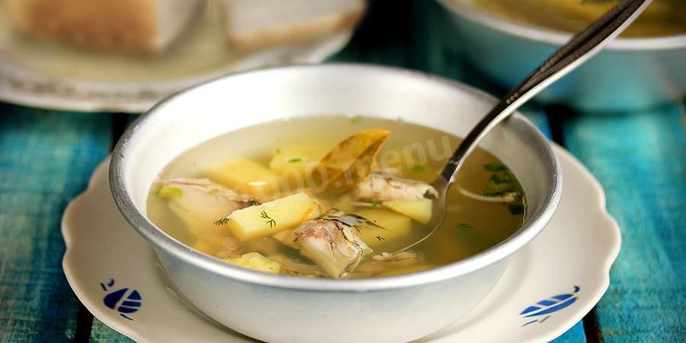 Как приготовить уху из головы щуки