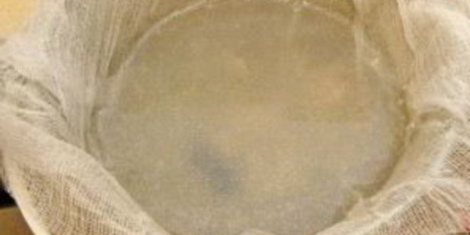 Рецепт ухи из головы сома