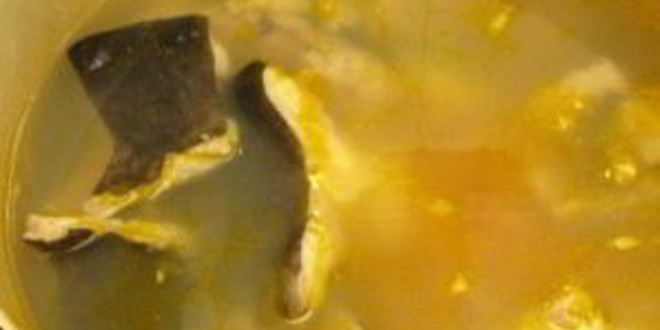 Рецепт ухи из головы сома