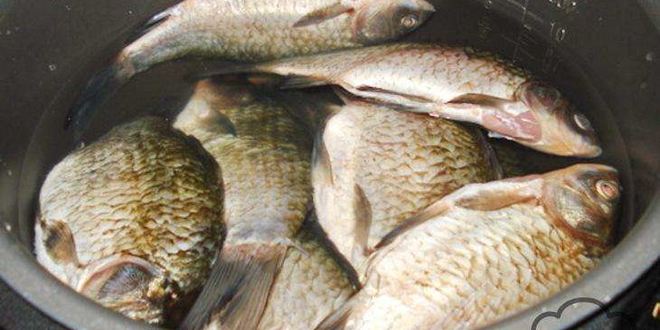 Рецепт ухи из карасей