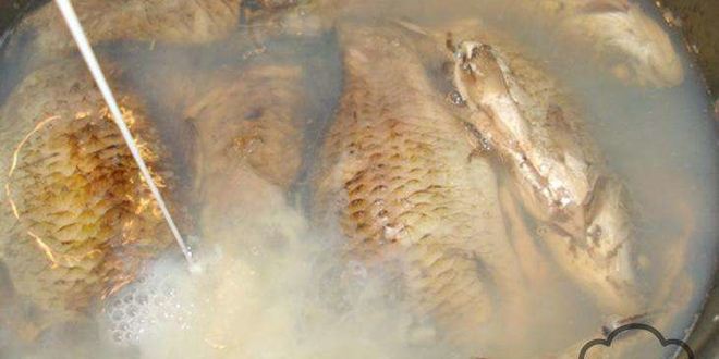 Рецепт ухи из карасей