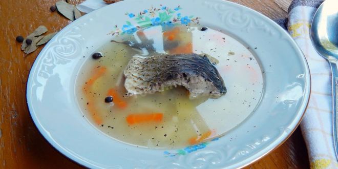 Рецепт ухи из карпа