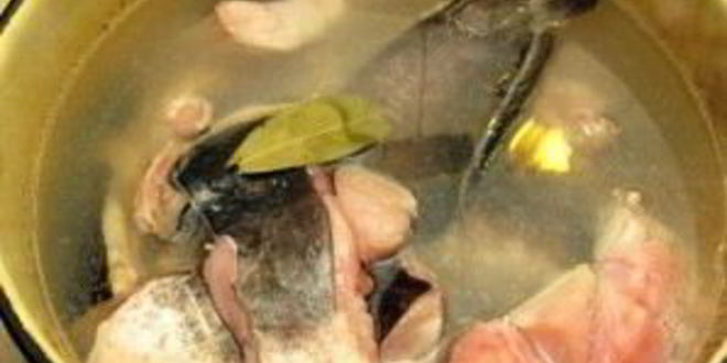 Рецепт ухи из сома