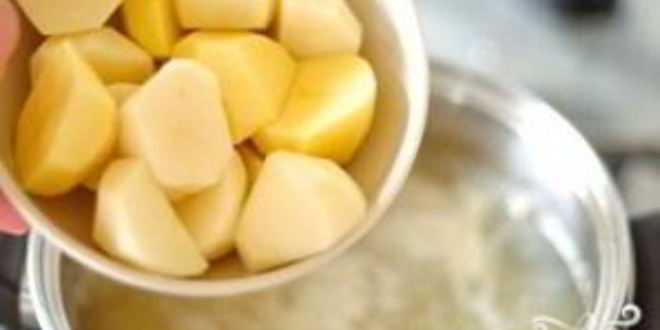 Рецепт ухи из сома