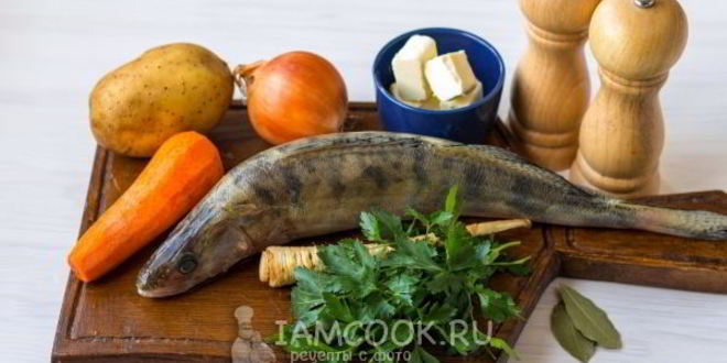 Рецепт ухи из судака по-домашнему
