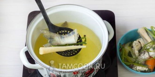 Рецепт ухи из судака по-домашнему