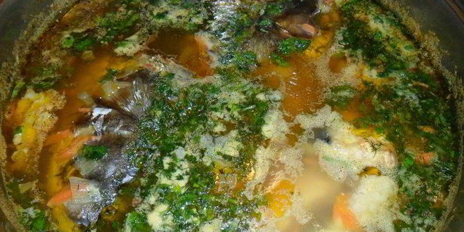 Рецепт ухи из трех видов рыбы